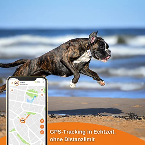GPSTracker für Jagdhund Test Hundeortungssysteme 2024 Jagd und Natur