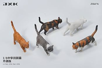 family cats　0507 51p-y-SyYIL._UF350,350_QL80_.jpg