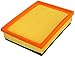 FRAM Extra Guard CA9007 Replacement Engine Air Filter for Select BMW Models, Provides Up to 12 Months or 12,000 Miles Filter Protection