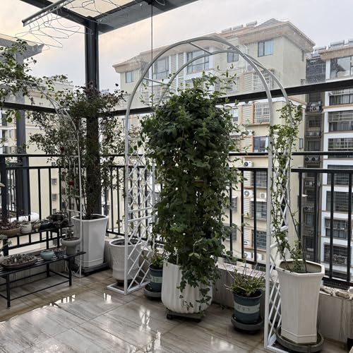 Arche de jardin en métal robuste et structure rigide anti-intempéries - 6