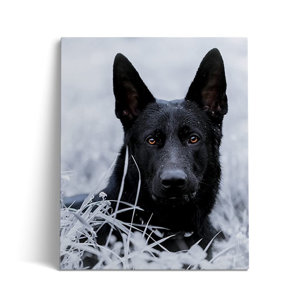 znwrr Diamond Painting German Shepherd 5D Diamond Pictures Adult DIY Set Full Drill Painting by Numbers Kit 40x50cm
