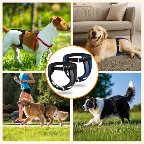 2 Pack Hündin Läufigkeitshose, Höschen für Hunde Läufigkeit, Schutzhose Hündin Waschbare, Hundehose Wiederverwendbare mit 10 Damenbinden, Verstellbare Hundewindeln für Hündinnen (XXL)