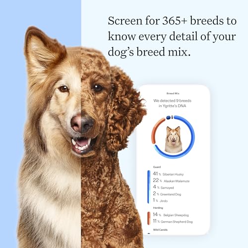 wisdom health essential dog dna kit  most accurate test  365 breeds  30 genetic health conditions  50 traits relatives ancestry  pack of 1