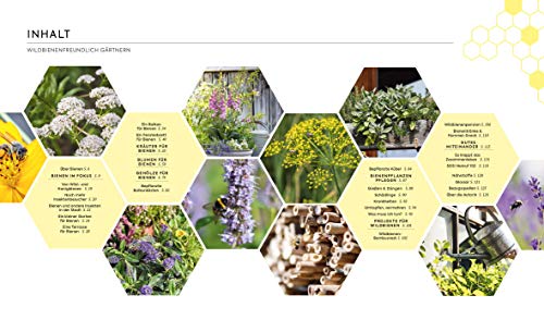 Wildbienenfreundlich gärtnern für Balkon, Terrasse und kleine Gärten: Gärtnertipps für mehr Insektenschutz und… – Bild 4