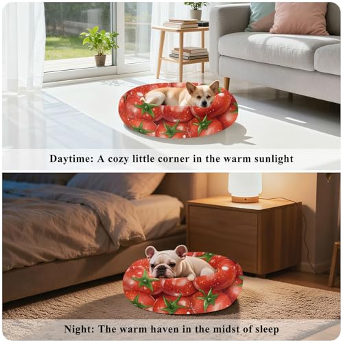Lit apaisant pour chien Fresh Tomatoes rouge S moelleux rond