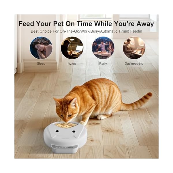 Automatic Cat Feeder Wet&Dry Food-Cordless Pet Food Dispenser-Pet Fresh Food Refrigerated Container with 2 Ice Packs,Programmable Timer Battery Powered Feeder for Cat Samll Dog-4 Meals Per Day-White