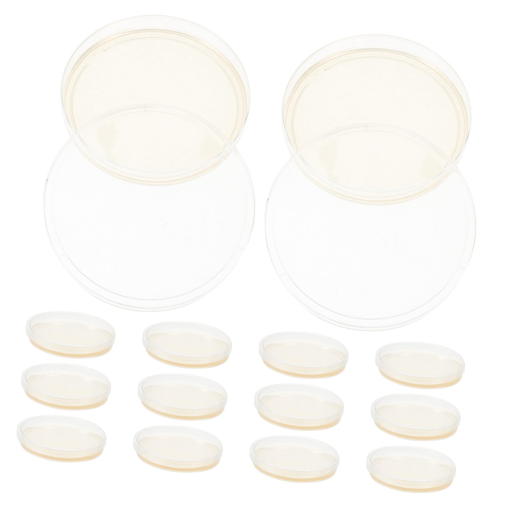 20 Pezzi Piastre di Petri Rotonde in Plastica Agar Nutritivo da 9 Cm, Coperchi Ermetici per Crescita Stabile, per Esperimenti Scientifici in Laboratorio