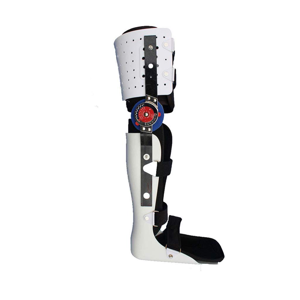 Buy ROMX Knee Ankle Foot Orthosis Brace,Hip Knee Ankle Foot Orthosis