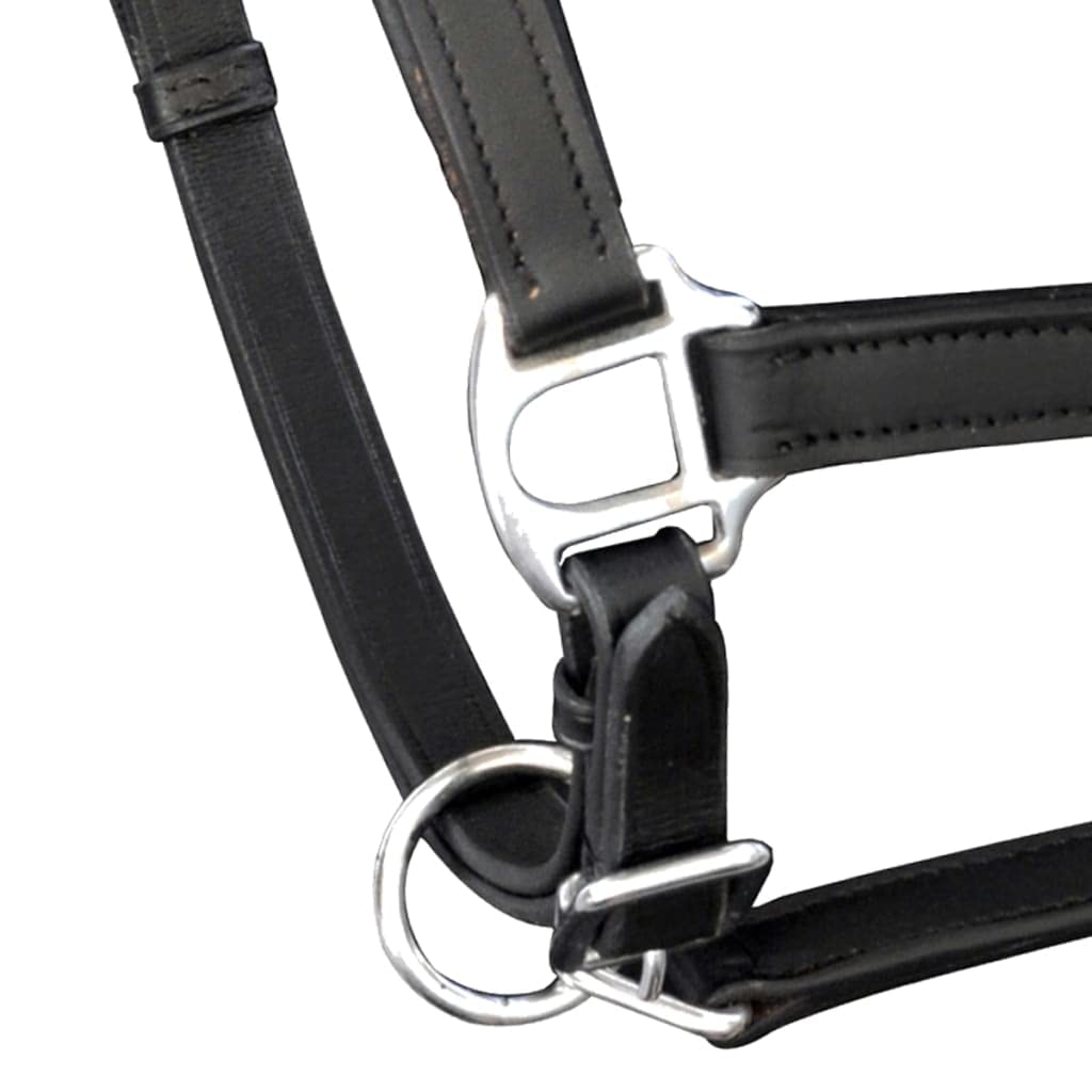 Cabestro de piel auténtica, ajustable, color negro