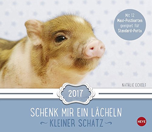 Kleiner Schatz Maxi Postkartenkalender - Kalender 2017 Kleiner Schatz Maxi Postkartenkalender - Kalender 2017