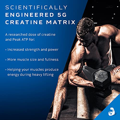 Creatine Powder | Muscletech Cell-Tech Elite Creatine Powder | Post Workout Recovery Drink | Muscle Builder For Men & Women | Creatine Hcl Supplement | Cherry Burst (20 Servings) #TOP1