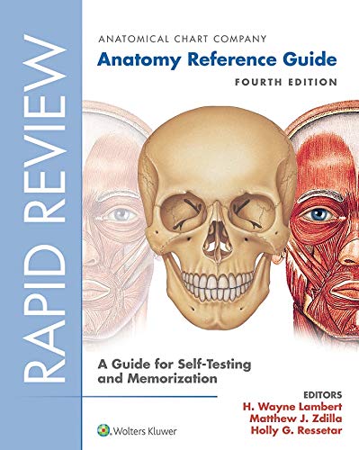 Rapid Review: Anatomy Reference Guide: A Guide for Self-Testing and Memorization