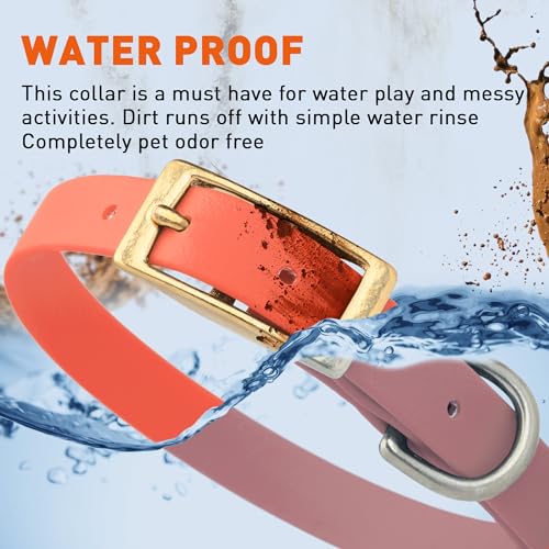 Image of Viper Biothane Heavy Duty Waterproof Dog Collar Strong Coated Nylon Webbing w /Solid Brass Hardware Odor-Proof Easy to Clean High Performance Fits Small Medium or Large Dogs, Coral