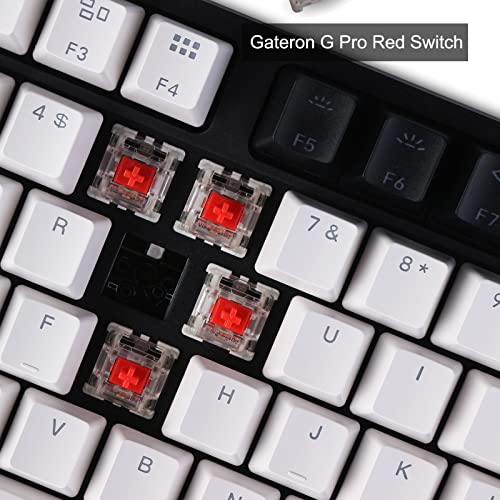Image of Keychron C1 87 Key Wired Mechanical Keyboard, USB Type-C Cable, Double-Shot ABS Keycaps TKL Mechanical Gaming Keyboard, White Backlit Gateron G Pro Red Switch for Mac Windows