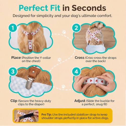 Image of 2 Pieces Dog Diaper Suspenders, for Dog Diaper Female and Belly Band for Male (Heart, X-Small /Small)