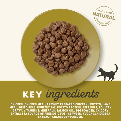 Applaws Complete and Grain Free Natural Dry Cat Food, Chicken with Lamb for Adult Cats, 2kg