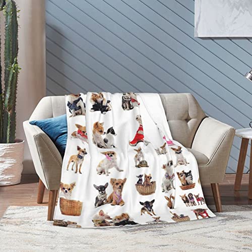 Couverture microfibre chaude et légère pour lit lavable et ultra douce - 8