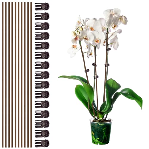 Lot de 10 Tuteurs pour Plantes avec 15 Pinces, tiges Flexibles de 45,7 cm de Haut, Pinces à orchidées Marron pour la Croissance des Fleurs d'intérieur et...