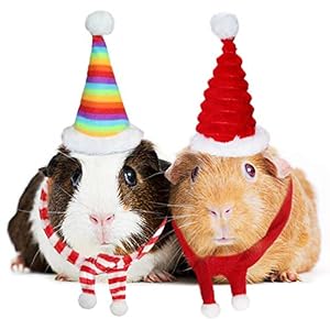 Rypet 4 PCS Guinea Pig Costume &#82...