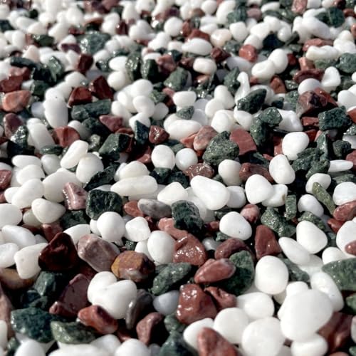 XyVܐFʍiܐFj800g܁yIׂ4TCY 2`30mmz{H a^뉀^Jo[^ϗtA^DIY^eE^CeA (8i20-30j)