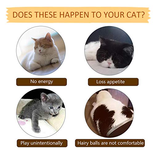 Simulação de salto elétrico Adaskala peixe gato brinquedo mordidas mastigar animal de estimação inte