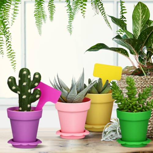 Petits pots de fleurs colorés de balcon : lot de 36 avec coupelles pour intérieur - 4