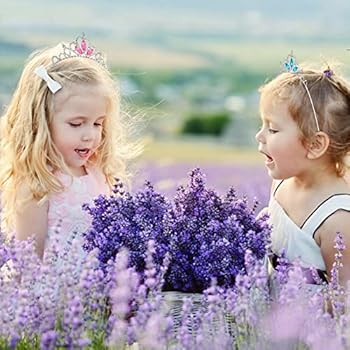 2 Stuks Kristallen Prinsessendiadeem - Tiara Met Strass Voor Dames En Meisjes