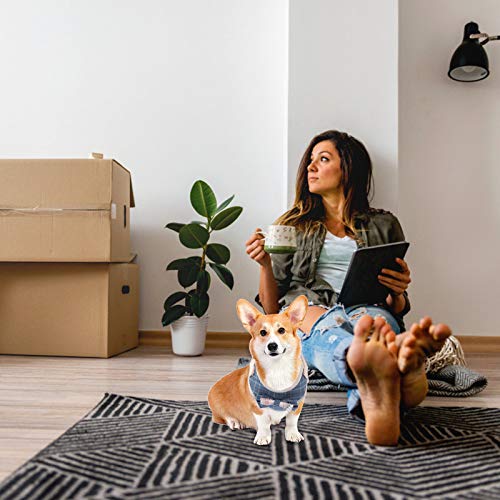 TEHAUX Correia de puxar arnês de cachorro 1 unidade Arreios de colete Corda de puxar ajustável