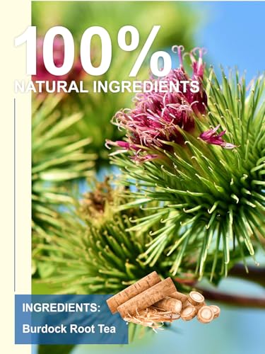 Image of TeeLux Burdock Root Tea Bags, Caffeine-Free Herbal Tea, Smooth Mellow Flavor, Lightly Toasted Aroma, Hot or Iced, 50 Count