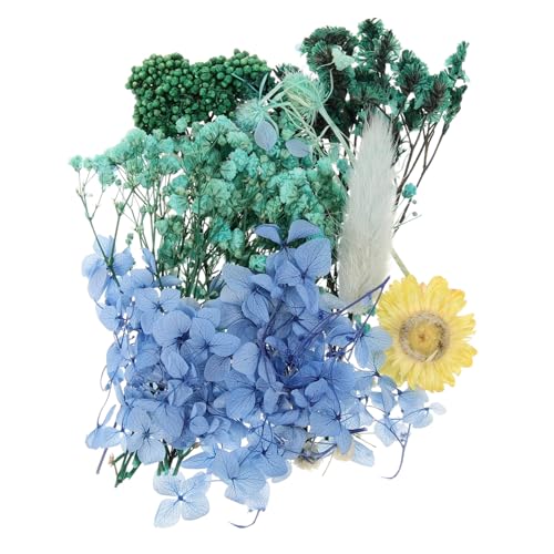 Flores secas naturales para manualidades DIY pack 1