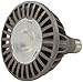 Liteline LMP-PAR38LED20W-3KSP PAR38 Medium Base LED Bulb, 120V, 20W, 3000K, Spot