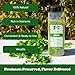 NPG Freeze-Dried Parsley Flakes 3 Oz, Dehydrated Chopped Parsley for Cooking, Soups, Pasta, and Garnish, Aromatic Herb Seasoning, Non-GMO, Gluten-Free, Green Leafy Curly Herb