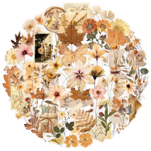 Image of 50PCS Transparent Flora Scrapbook Stickers, Vintage Aesthetic Flowers Sticker for Scrapbooks Travel Journal, Vinyl Waterproof for Water Bottles Laptop Phone Scrapbook Supplies DIY Crafts(Flower-A)