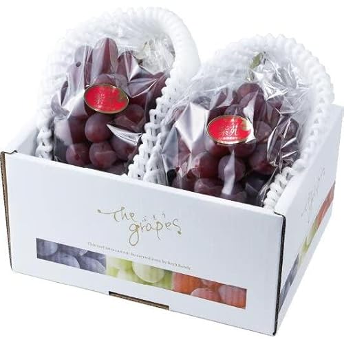 ぶどう 紫苑 しえん 風のいたずら ちょっと訳あり 400g×2房 岡山県産 JAおかやま 葡萄 ブドウ