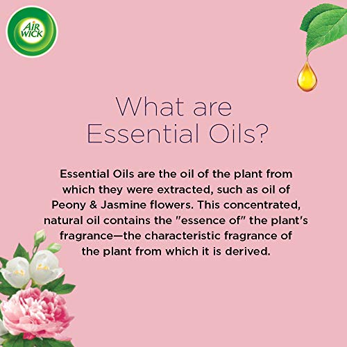 Image of Airwick Essential Mist Automatic Fragrance Mist Diffuser Kit (Machine + Jasmine & Peony Oil Refill - 20 ml) | Natural Essential Oils Diffuser | Automatic Air Freshener