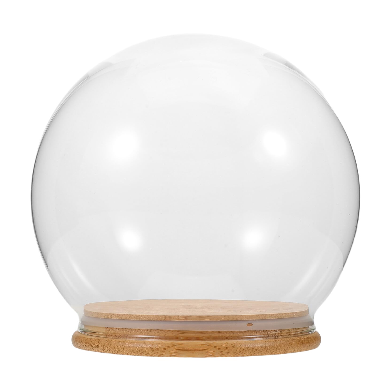 Cloche en verre pour fleurs stabilisées présentoir rond de décoration pour objet précieux
