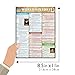 World History 2 QuickStudy Laminated Reference Guide (QuickStudy Academic)