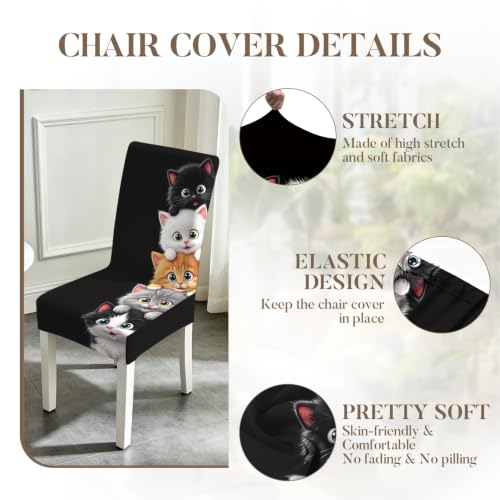 Image of Cute Kitten Dining Chair Covers Set of 4, Cat Stretch Slipcovers