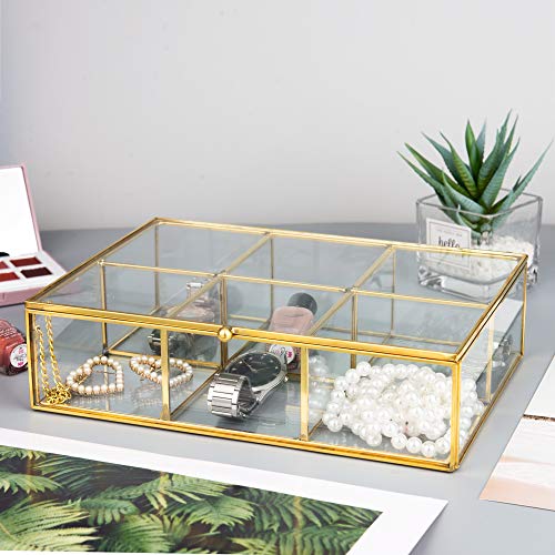 Feyarl Gold Clear Glass Box Metal Jewelry Trinket Shadow Box Tea Bags Box Countertop Collection Display Case Holder 6 Compartment Decorative Makeup Organizer With Lid #TOP3