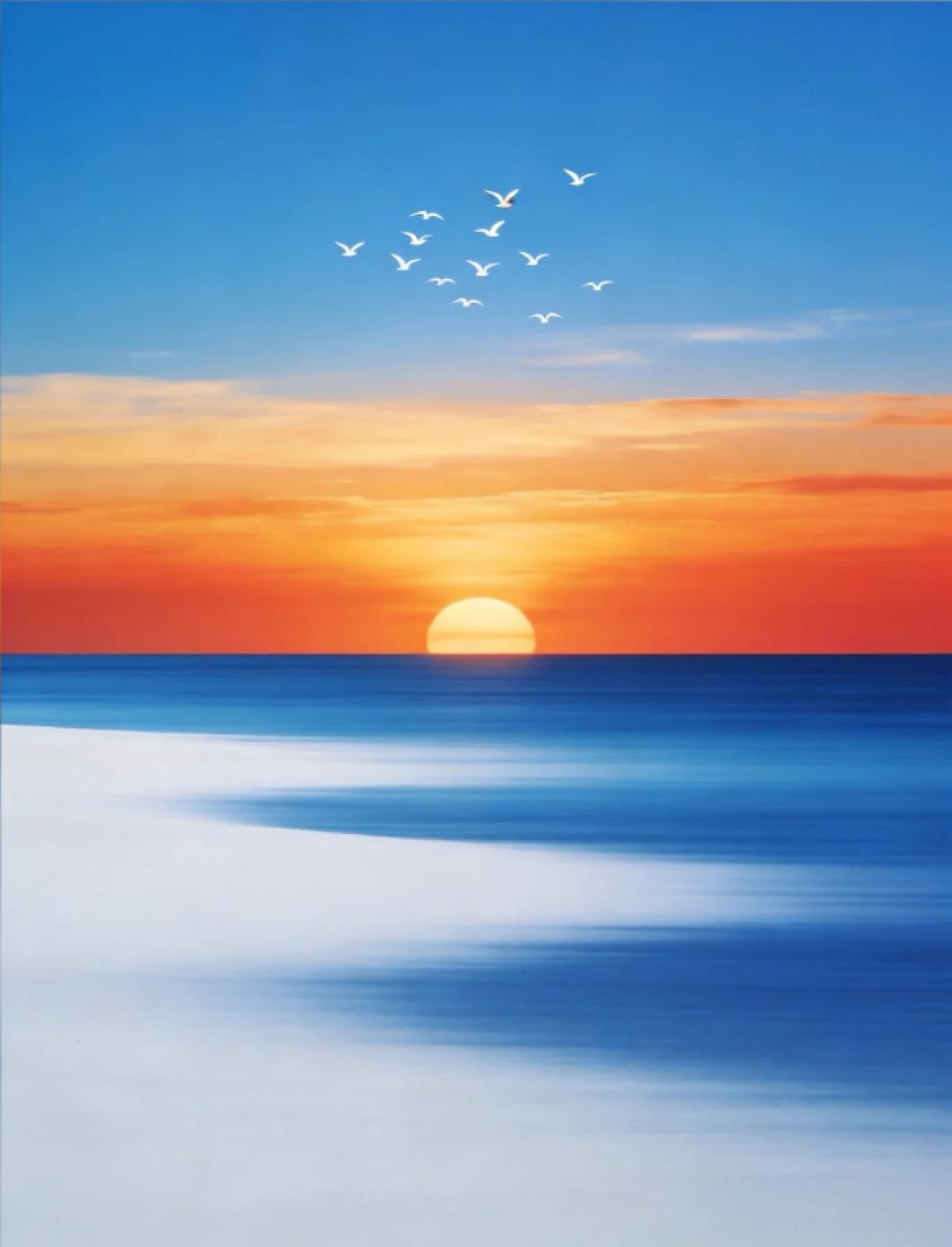 Stithej Pre-Printed Cross Stitch Kit sea and Birds 11CT for Adult Beginner