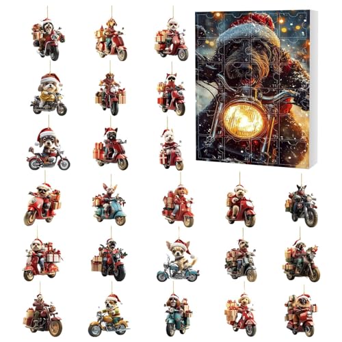 2025 NX}X Ahxg ,24ԃJEg_EJ_[2DAN |  oCN I[ig | ƑAoP[VAƒA؁AǁAhAAAp[eB[AtFCo[Azf[