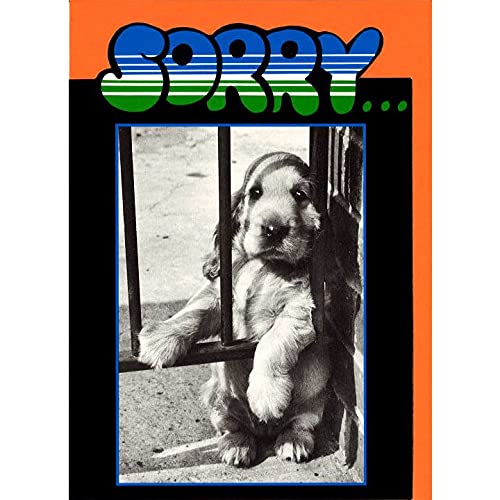 O[eBOJ[h ړI mN_CJbguqFsorry...vmNʐ^  bZ[WJ[h t AG