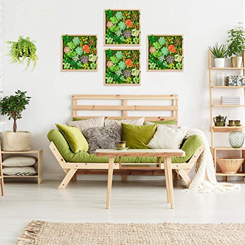 Homelifairy Artificial Succulent Wall Decor Faux Plants Art For Home Decor Indoor With Pine Frame Hanging Living Room Kitchen Wall Decor,12X12 Inch #TOP2