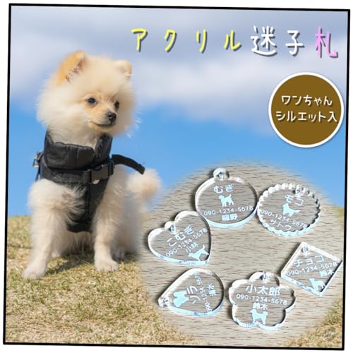 Amazon.co.jp: 【ドッグトレーナー監修】 犬 迷子札 ペット ネーム
