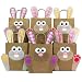 PaPIerDraCHeN Sacchetti per Regali Fai da Te per Pasqua con Coniglietto di Pasqua in Arancione Rosa Viola da riempire a Piacere - per confezionare Regali per Bambini e Adulti