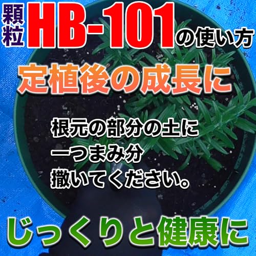 Flora HB-101 Agente Activador Vegetal líquido miniatura 6
