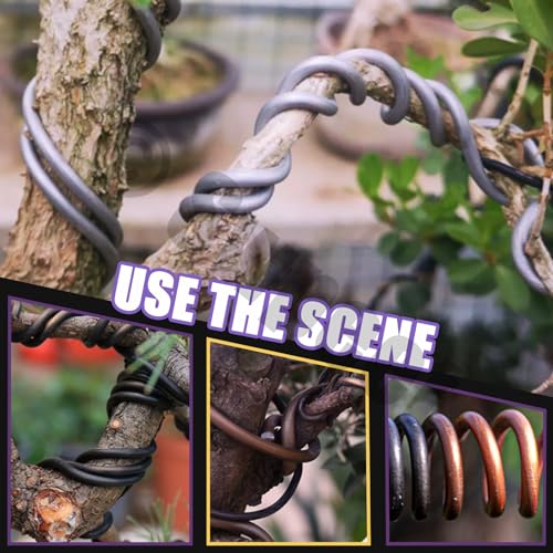 Swpeet 5Pcs 4 Größen 1/1.5/2/3 mm Bonsai Training Draht 164 Füße Total mit Drahtschneider, Aluminium Draht Bonsai Werkzeug Kit, Bonsai Zubehör für Bonsai Bäume Indoor Garten DIY Werkzeuge