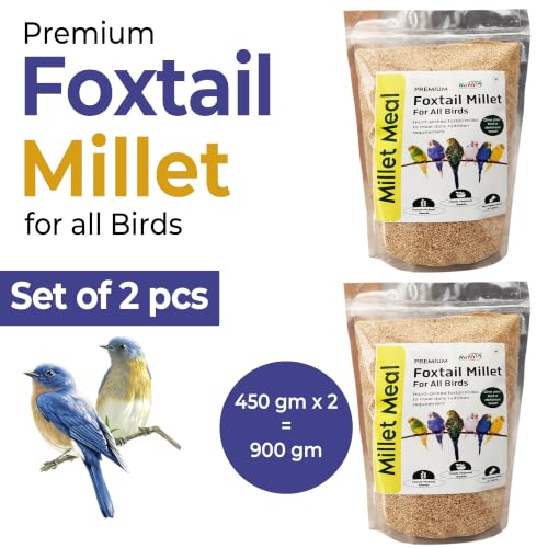 Image of REFIT ANIMAL CARE Foxtail Millet for Birds | Kangni Seeds | Bird Food | 450 gm X 2 | Pack of 2