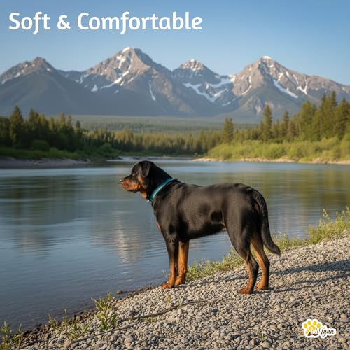 Image of ADITYNA Leather Dog Collar for Large & Extra Large Dogs, Adjustable 19-30 inch | Padded, heavy-duty metal buckle. Great for walking, training - ideal for Rottweiler, German Shepherd, Golden Retriever.