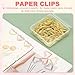 PATIKIL 100 Pcs Heart Shape Paper Clip, Metal Cute Small Paper Clamp Clips for Office Supplies Craft Scrapbook Document Note Sorting, Electroplating, Gold